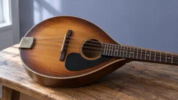 Illustrasjon av en mandolin med doble strengepar på en benk.